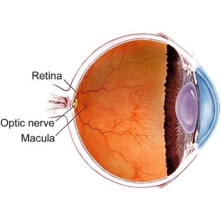 eye clinic mira bhayandar